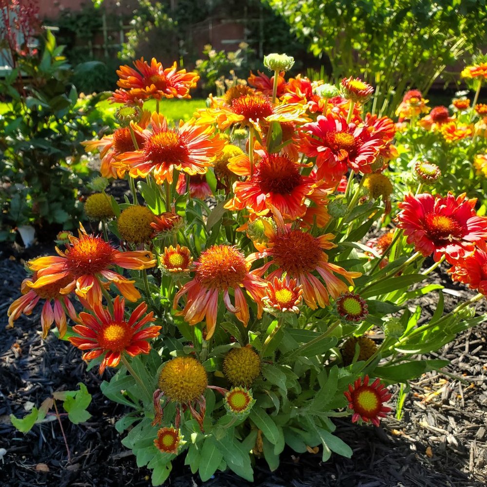 Meet your Posher, Stacey